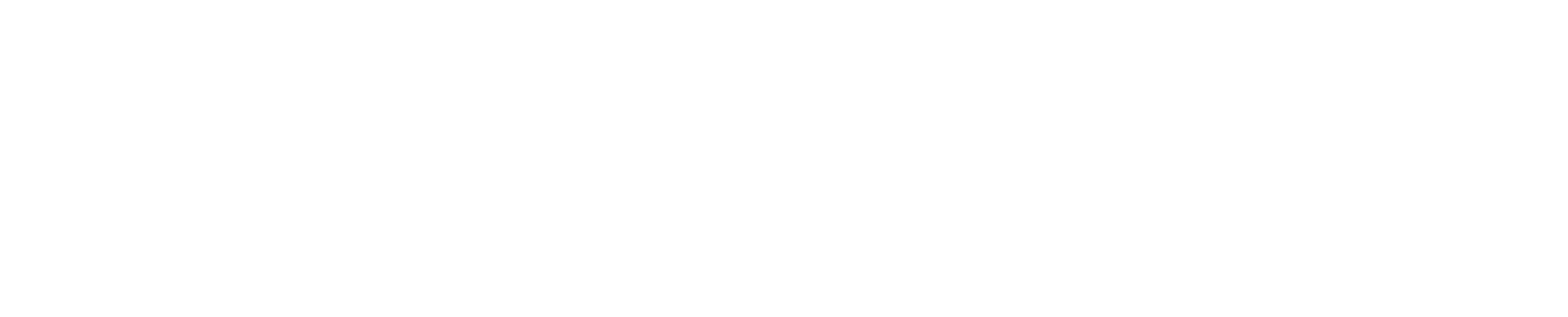 CONQUER